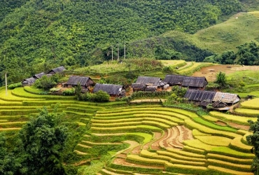 Lao Cai – Sapa – Lao Chai – Pueblo de Tavan – Sapa (D, A)