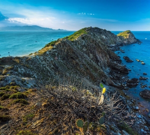 Escapadas en la playa Quy Nhon