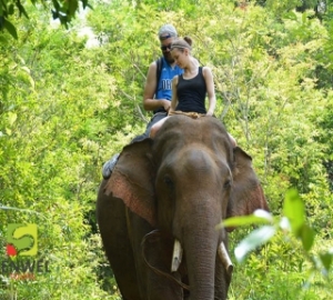 Tour aventura por Camboya