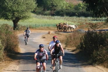 Kalaw- Pindaya (50 km en bicicleta) (D, A, C)