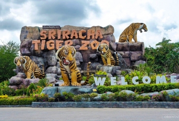 Llegada a Pattaya - Zoológico de Tigres de Sriracha (A)