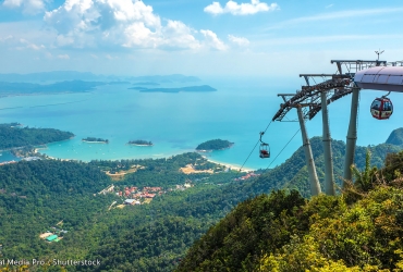 Día 5: Bosque de mangle Langkawi (D, A)