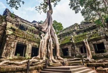 Templo de Angkor (D)