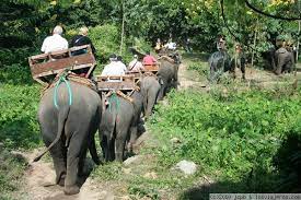 Chiang Rai - Paseo en elefante (D)