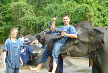 Chiang Mai - Paseo en elefante y rafting en Chiang Dao (D)