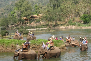 Luang Prabang - Experiencia con el mahout (D)