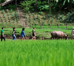 Excursión de 11 días explorando las maravillas de Laos