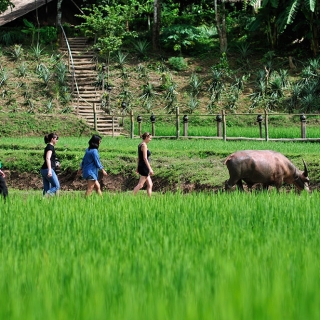 Excursión de 11 días explorando las maravillas de Laos