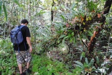 Vientiane - Phou KhaoKhuay (Orchid trek) (D, A, C)