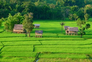  Vientiane - Vuelo a Muang Xay - Muang La (D, A, C)