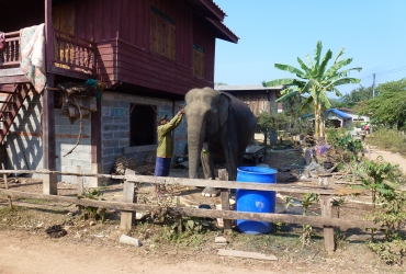 Champasak - Pueblo de Kiet Ngong (D, A, C)