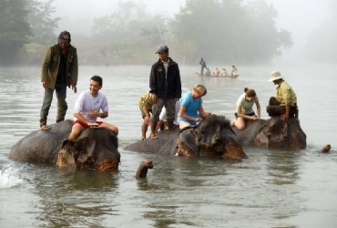 Luang Prabang - Aldea de elefantes (D, A)