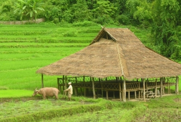 Pakbeng - Kamu Lodge (D, A, C) 