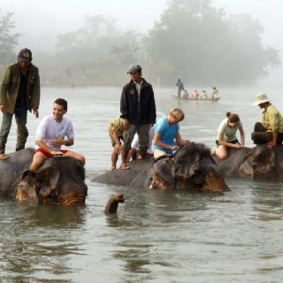 Excursión de experiencia con elefantes en Laos