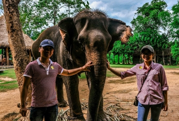 Luang Prabang - Centro de Conservación de Elefantes (D, A, C) 