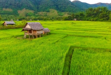  Luang Prabang - Kamu Lodge (D, A, C)