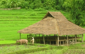 Relajando con naturaleza en Kamu Lodge