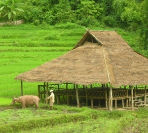 Relajando con naturaleza en Kamu Lodge