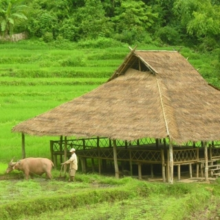 Relajando con naturaleza en Kamu Lodge