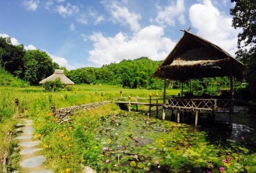  Luang Prabang - Cueva de Pak Ou - Kamu Lodge (D, A, C)