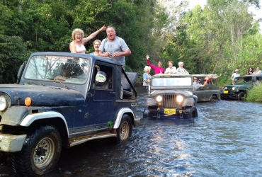 Experiencia en el sendero del café (excursión en jeep) (D, A, C)