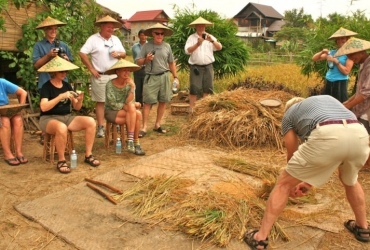 Vientiane - Experiencia del arroz (safari en Tuk Tuk) (D, A, C)