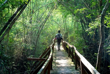 Saigón – Parque Nacional Nam Cat Tien (D, A, C)