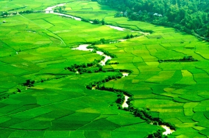 Mai Chau